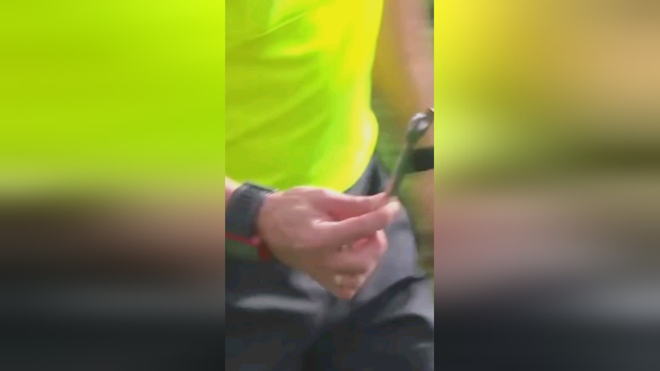 力抗争
